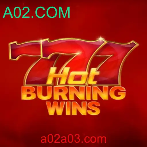 Explorando o Excitante Mundo de HotBurningWins